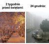 Grudniowa