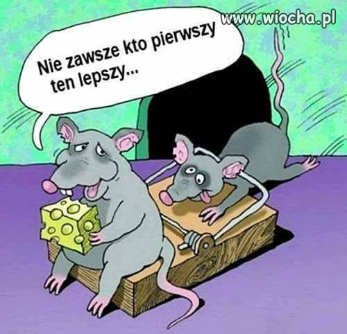 Potwierdzam