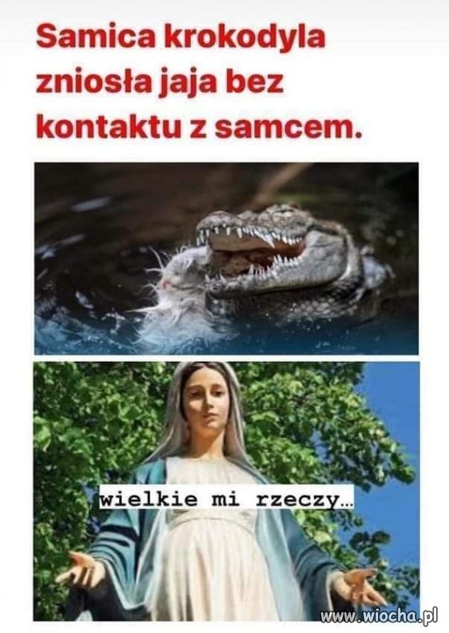 Nie takie cuda już dawno w bajkach opisywano ...