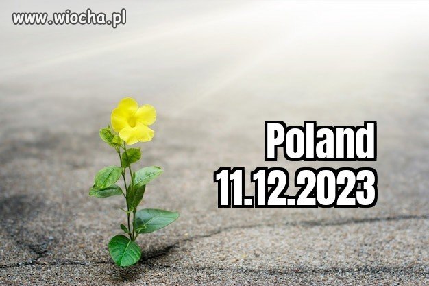 Przedwiośnie, czas nadziei 