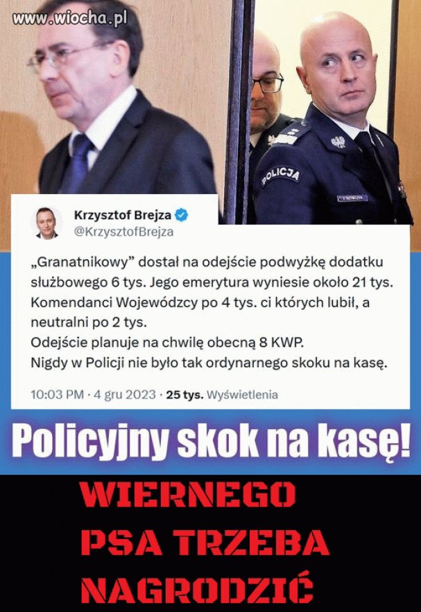To się w pale nie mieści