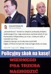 To się w pale nie mieści