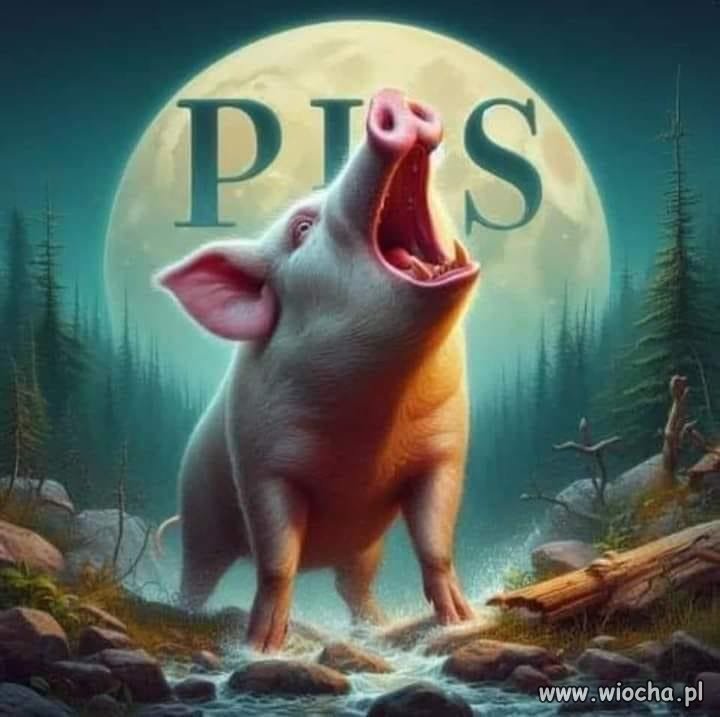 Tak na podsumowanie dzisiejszego dnia ...