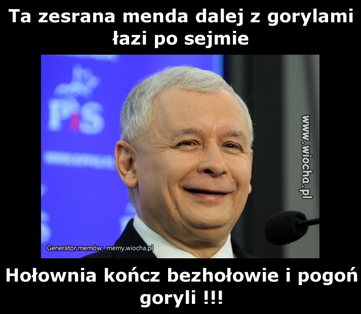 Ta zesrana menda dalej z gorylami łazi po sejmie
