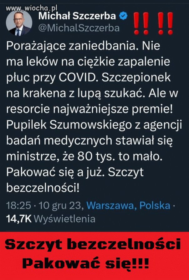 Pisowskie łajzy