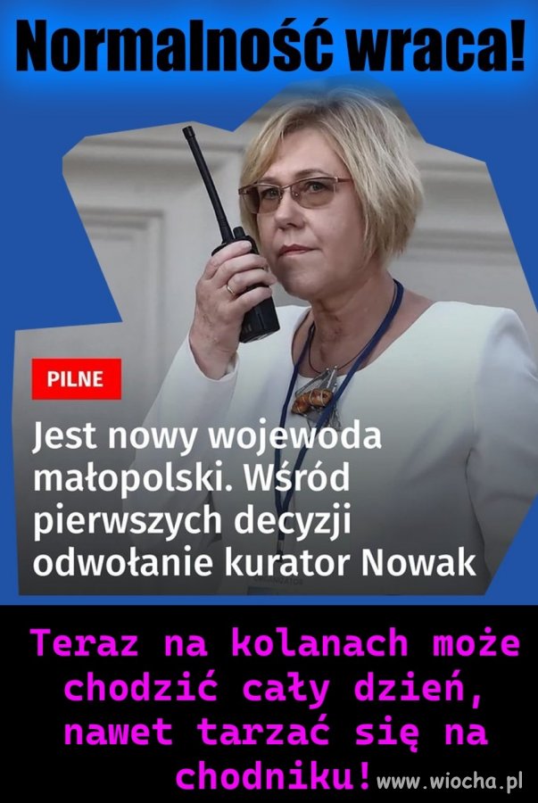 Czarnek, Czarnek tu Nowak - odbiór...