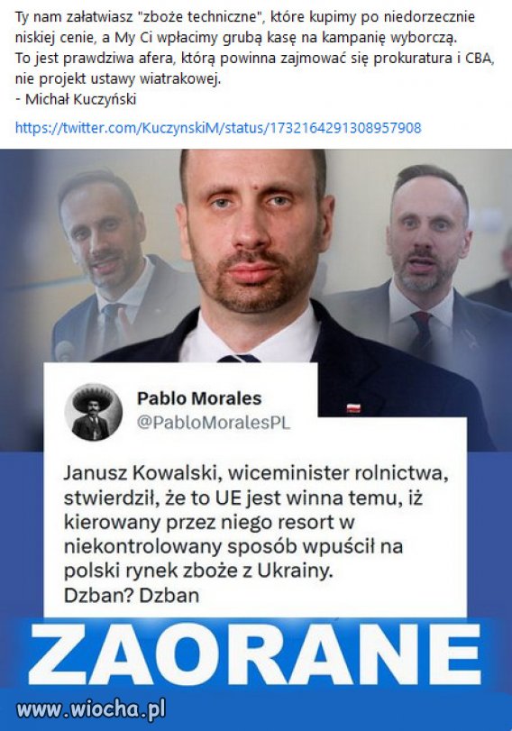 Dzban roku, drobny cwaniaczek specjalnej troski...