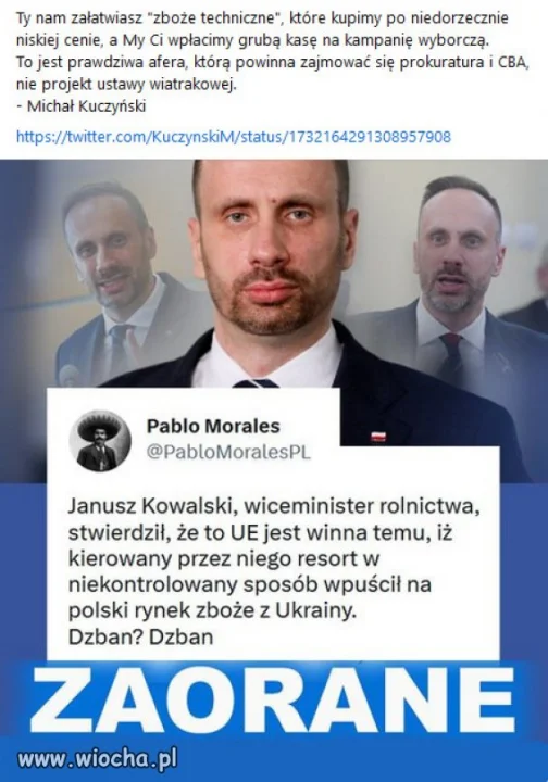 Dzban roku, drobny cwaniaczek specjalnej troski...