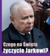 Śmiało, bez cenzury, nie krępujcie się ...