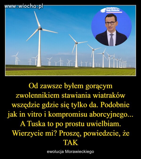 No przecież mówiłem o tym już w knajpie Sowa i ...