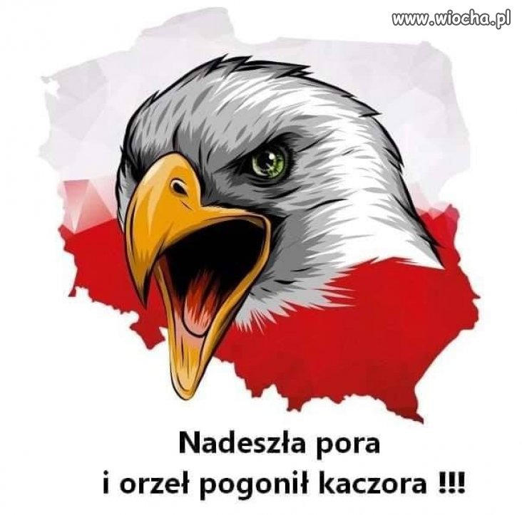 Wreszcie nadeszła ta chwila ...