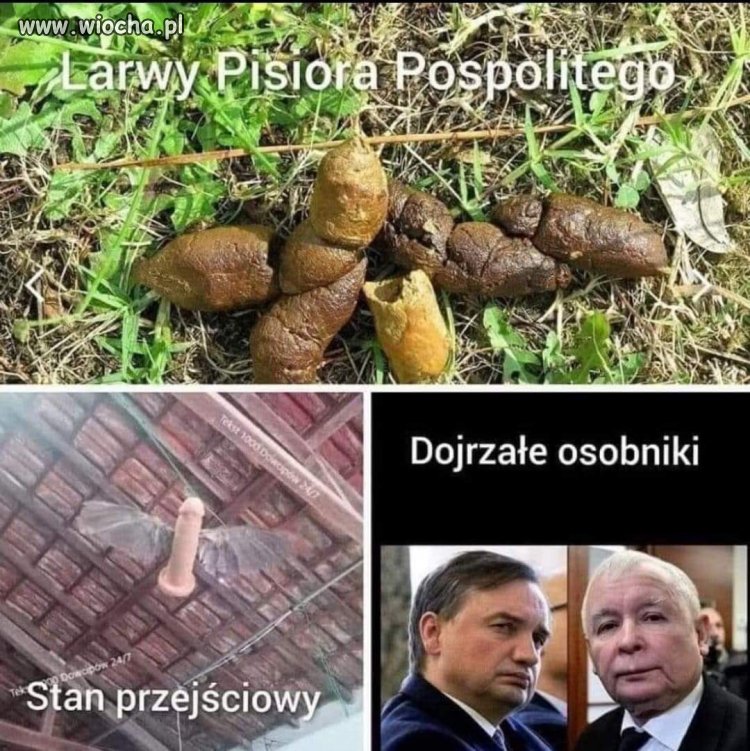 Czy dojrzałe, nie wiem, ale ludziom dojrzałym przez ostatnie lata, 