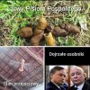 Czy dojrzałe, nie wiem, ale ludziom dojrzałym przez ostatnie lata, 