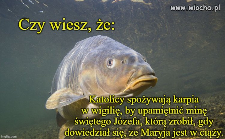 Ale nie pytajcie mnie,