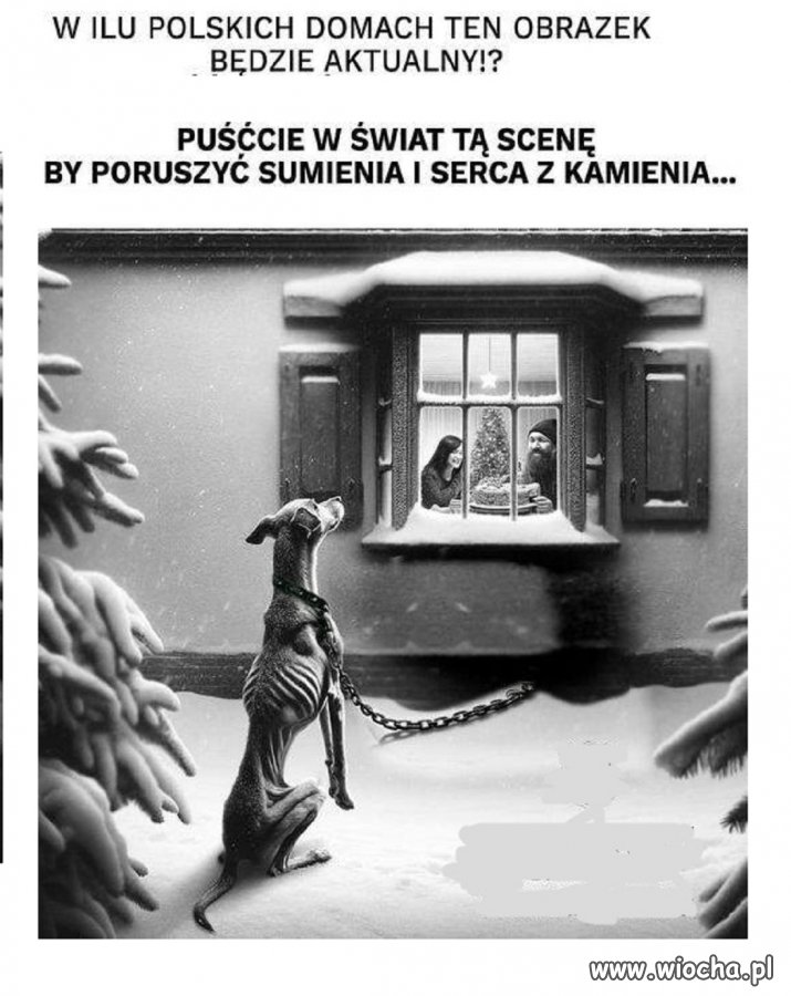 To tak pod rozwagę