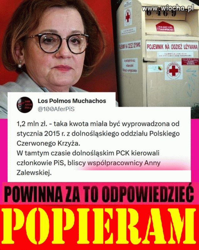 Złodziejka rodem z PISu