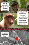 W opowieściach to każda