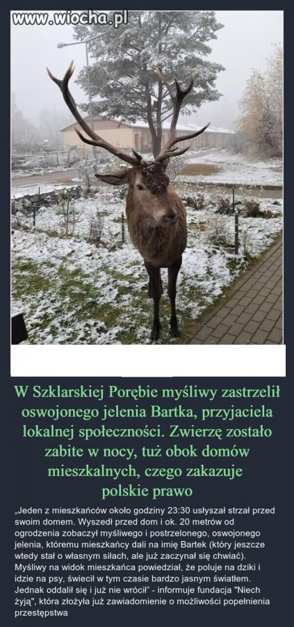 Kłusownicy
