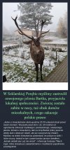 Kłusownicy