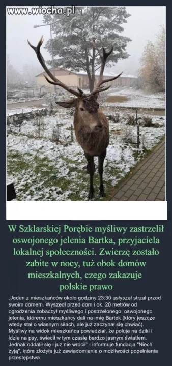 Kłusownicy