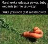 Z kamerą wśród aktywistów 