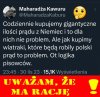 Pisowcy są niereformowalni 