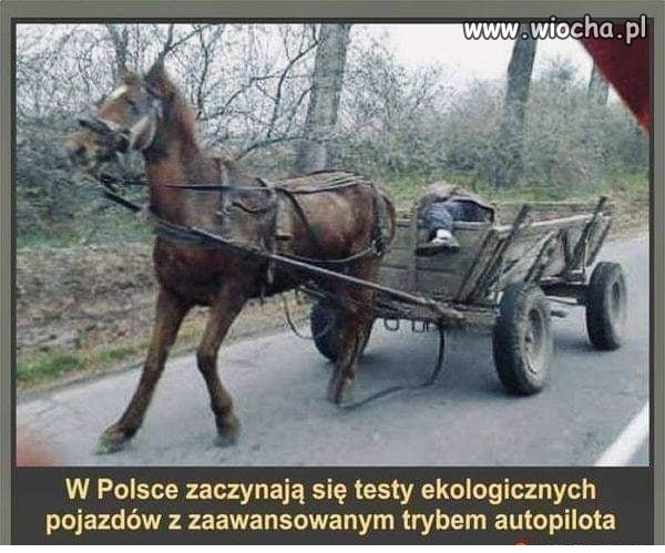 Bo elektryki Morawieckiego nie wypaliły