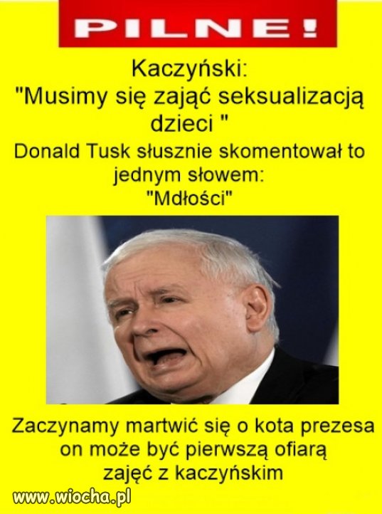 Kaczyński zajmie się seksualizacją 