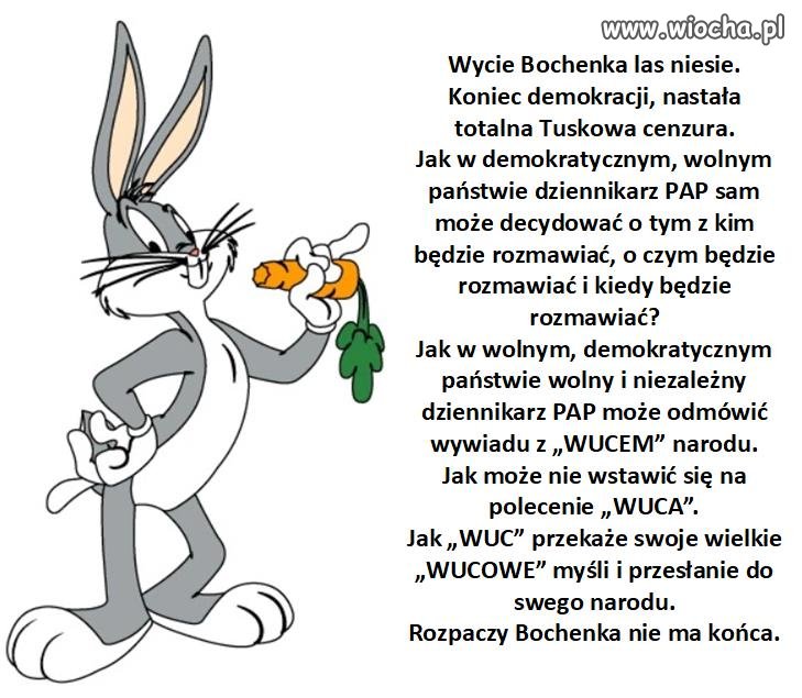 Demokracja w wizji pisu.