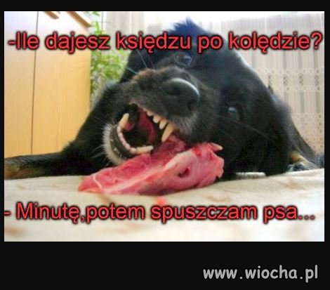 A Wy ile