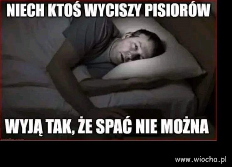 Popieram