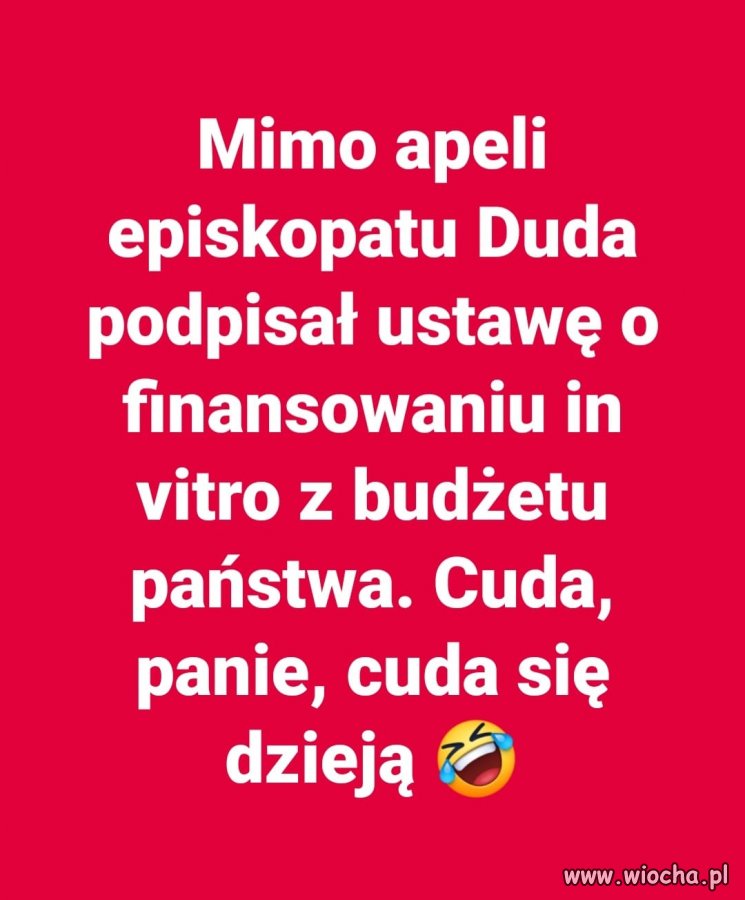 Wigilia się zbliża, zwierzęta przemówią