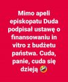 Wigilia się zbliża, zwierzęta przemówią