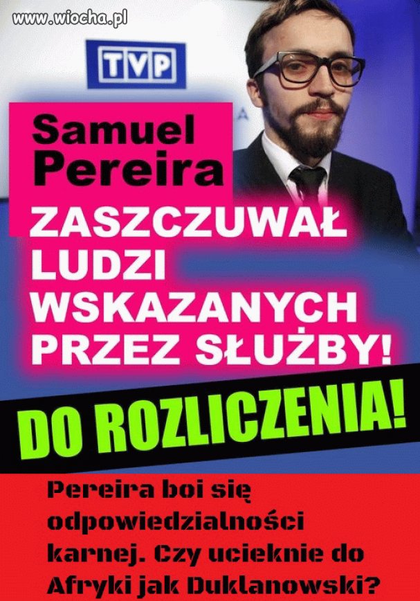 Pisowski kundel