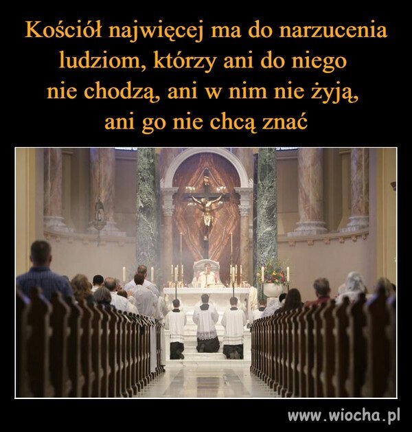 Ze swoimi baranami robią co chcą. Do stłamszenia 