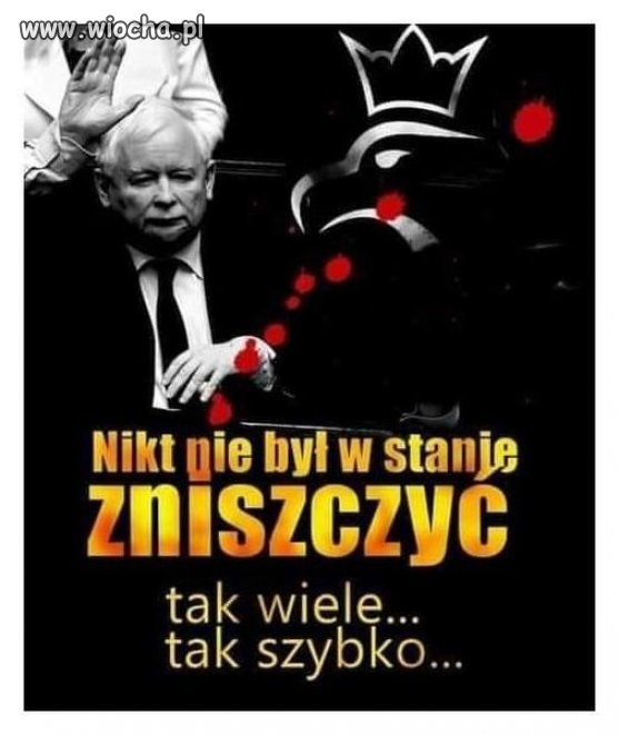 Mistrz świata w knuciu i szczuciu ...