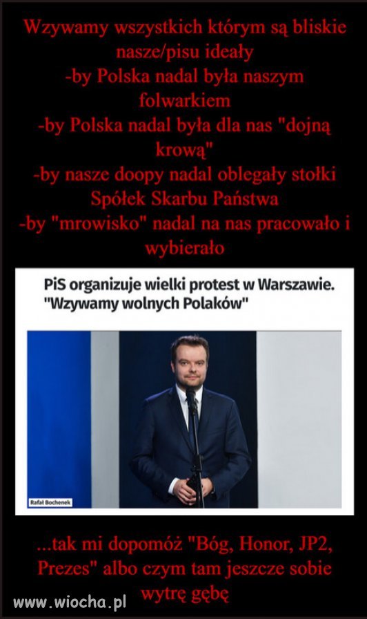 Protest złodziei i oszustów, oderwanych od koryta.