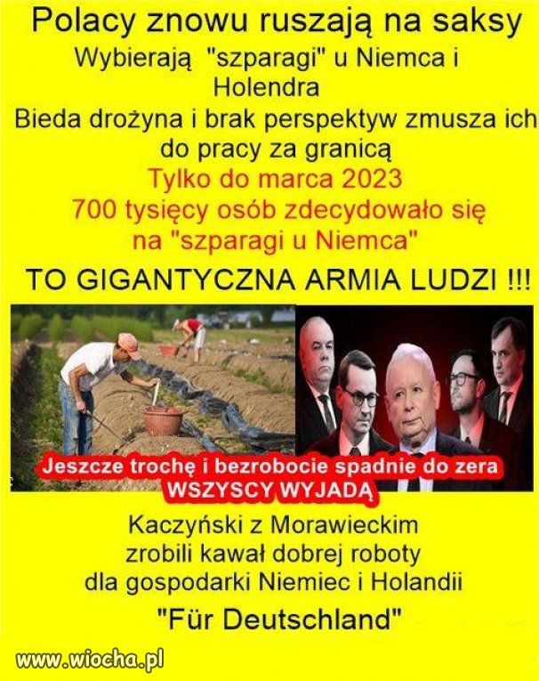  Zainteresowanie zarobkiem w obcej walucie jest coraz większe.