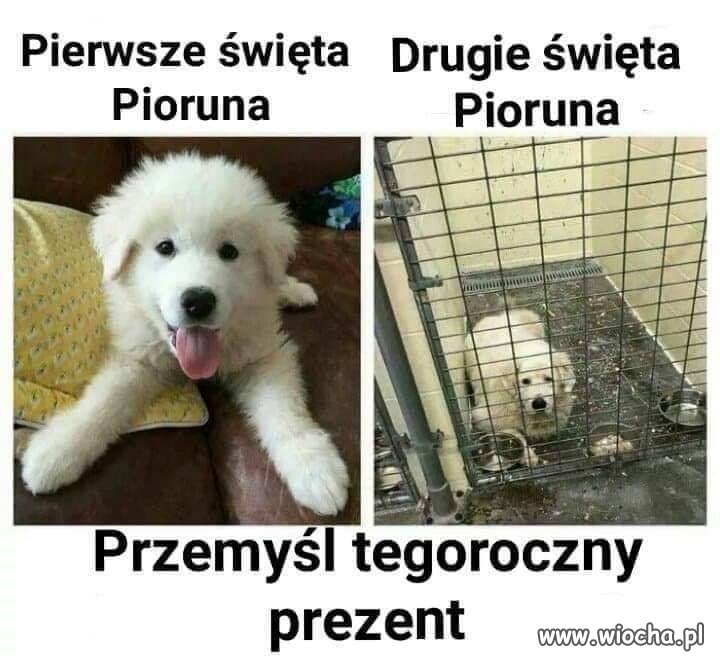 Pamiętaj
