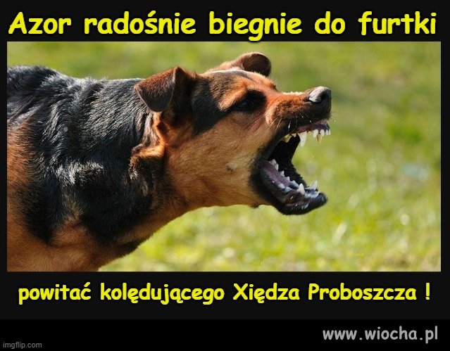 Xiądz Proboszcz już się zbliża,