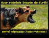 Xiądz Proboszcz już się zbliża,