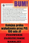 Pisowskie ścierwa nie mają umiaru