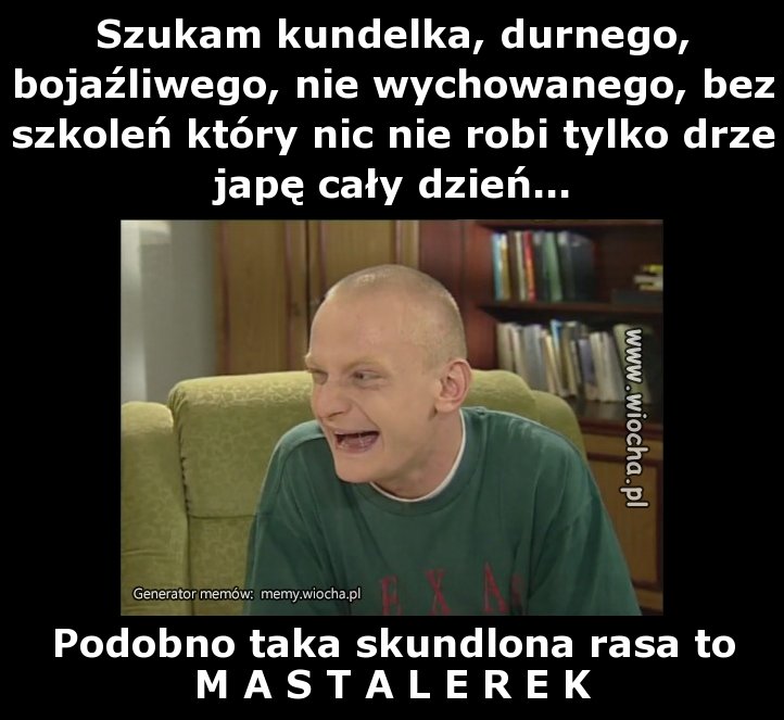 Szukam kundelka, durnego, bojaźliwego, nie