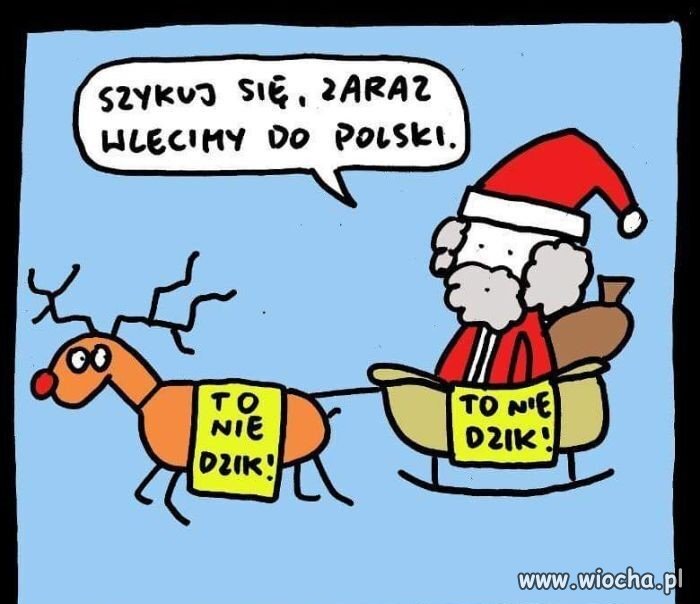 Obowiązkowe środki ostrożności