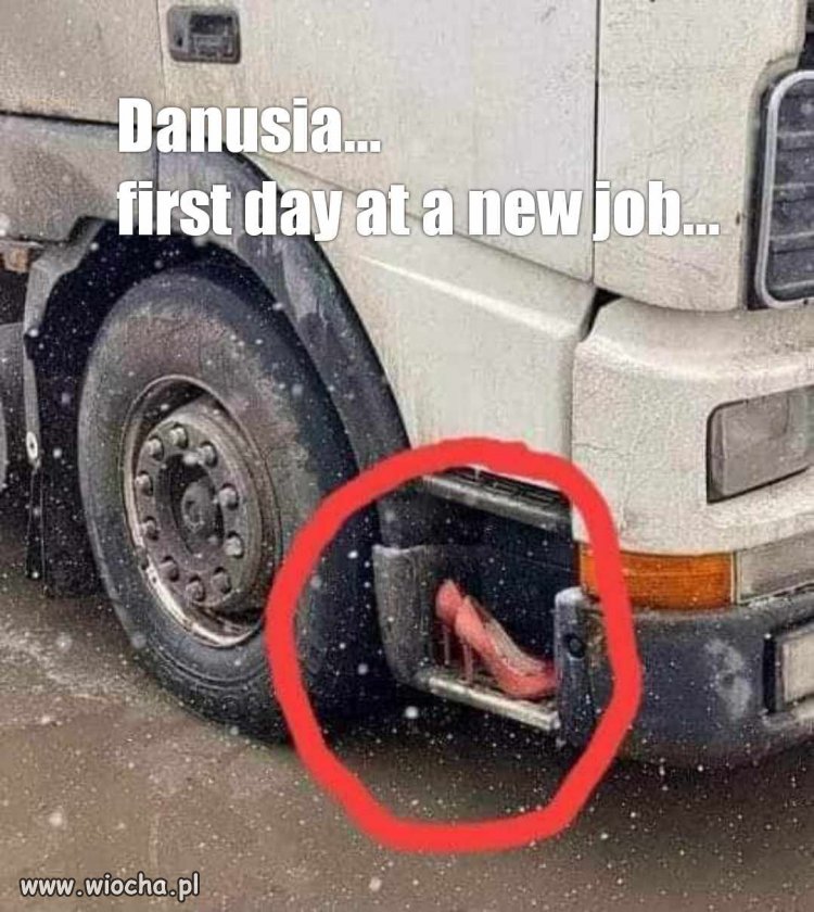 Danka Koreanka już w nowej pracy ...