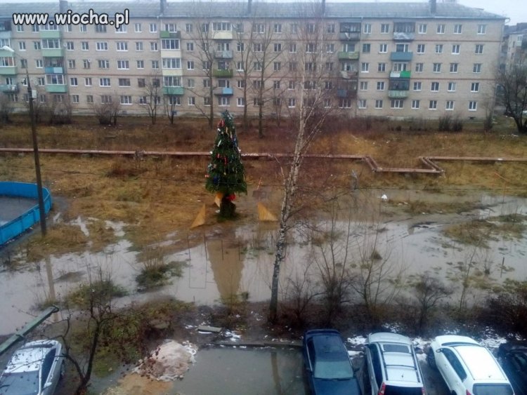 Świąteczny Klimat.