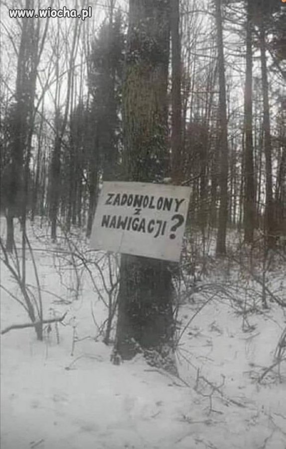 Ciekawe, jaki był cel podróży