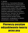 Nareszcie skończy się rumakowanie