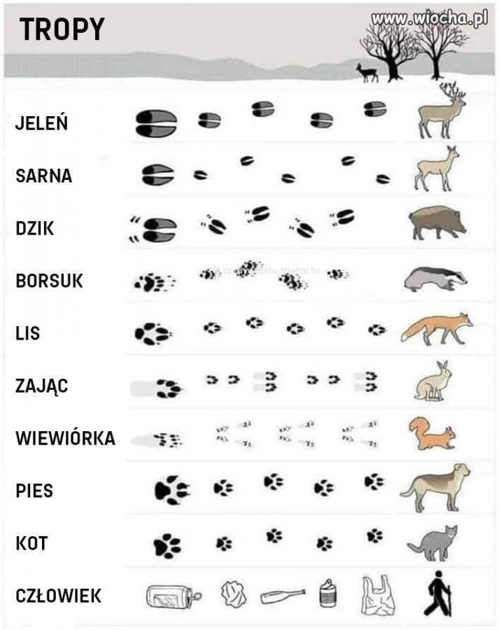 Tak jest