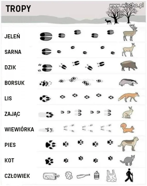 Tak jest